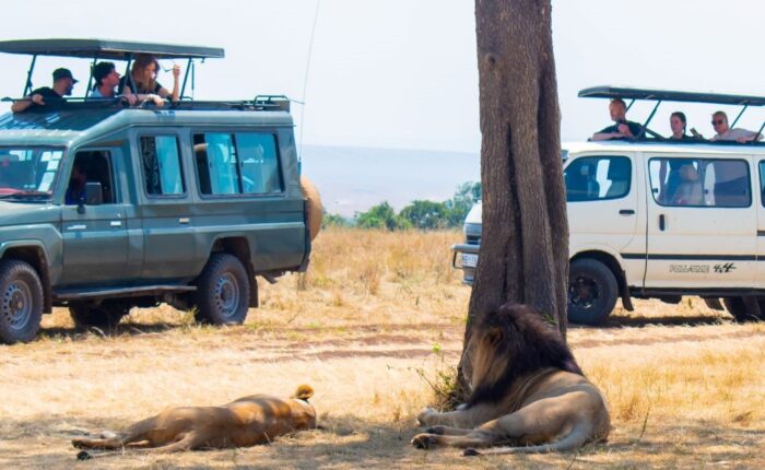 11 Days Kenya Scenic Safari