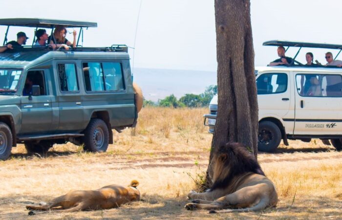 11 Days Kenya Scenic Safari