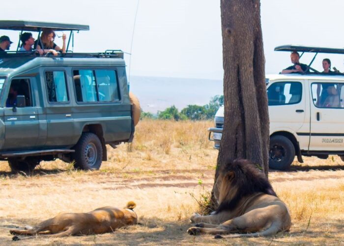 11 Days Kenya Scenic Safari