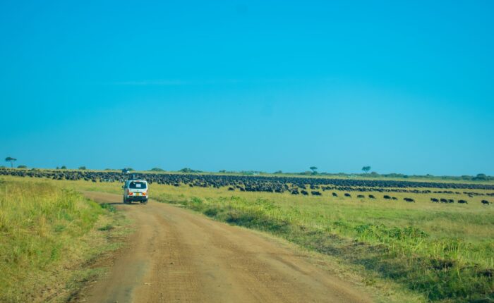 12 Days Magical Kenya Safari