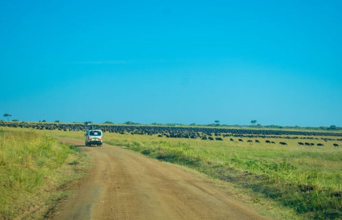 12 Days Magical Kenya Safari