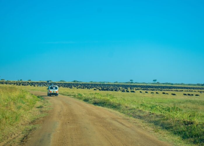 12 Days Magical Kenya Safari