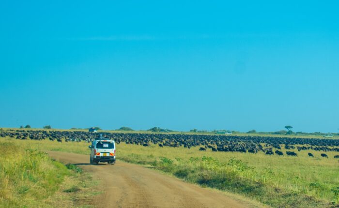 12 Days Magical Kenya Safari