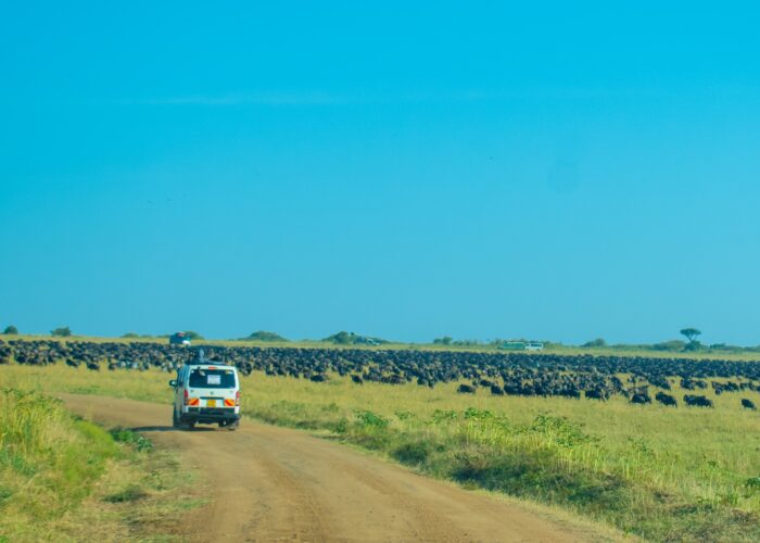 12 Days Magical Kenya Safari