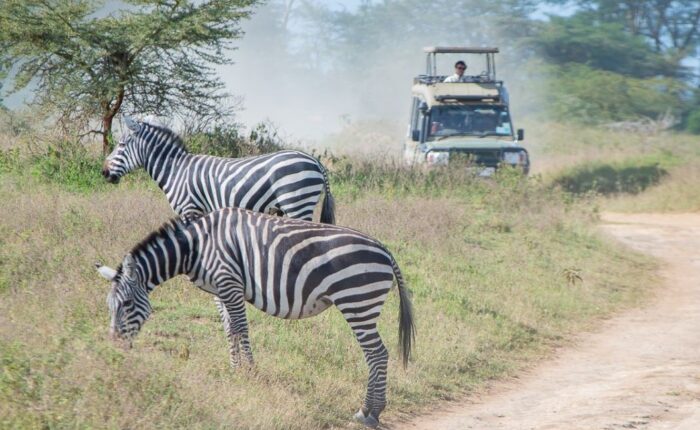 7 Days Best of Kenya Safari