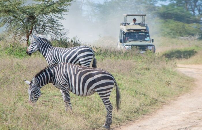 7 Days Best of Kenya Safari