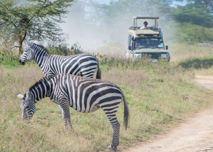 7 Days Best of Kenya Safari
