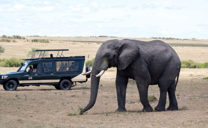 8 Days Ultimate Kenya Safari