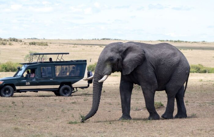 8 Days Ultimate Kenya Safari