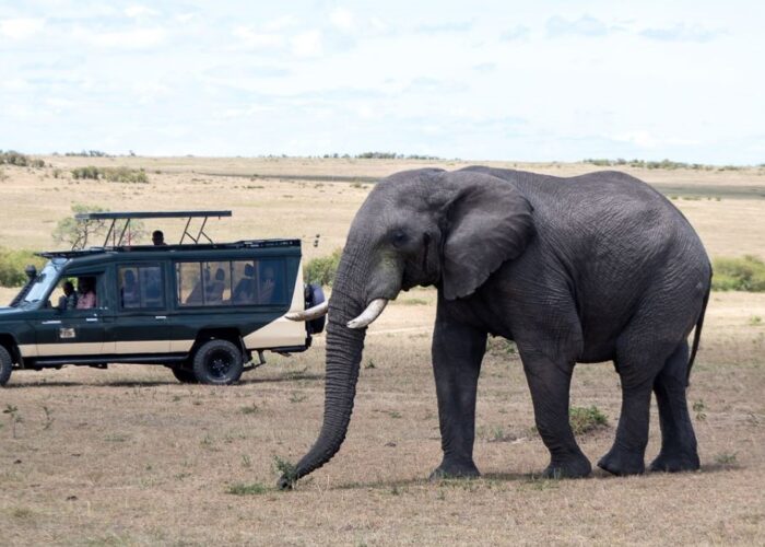 8 Days Ultimate Kenya Safari