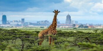 Nairobi National Park