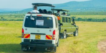 3 Days Masai Mara Easter Group Joining Safari