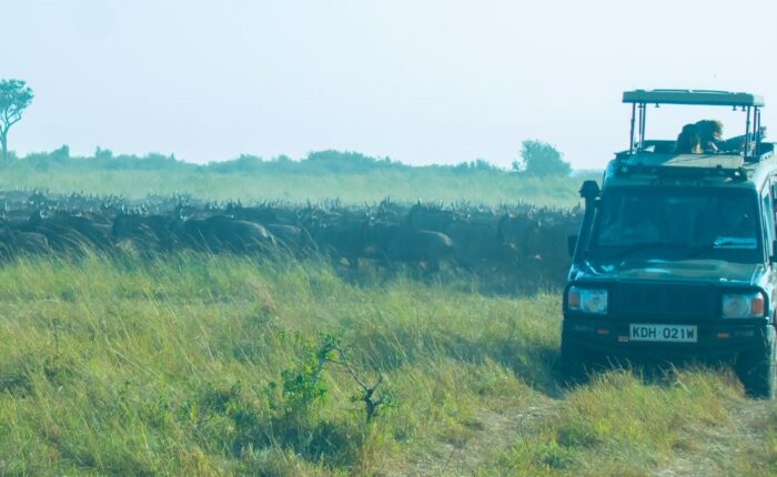 3 Days Masai Mara Kenya Safari