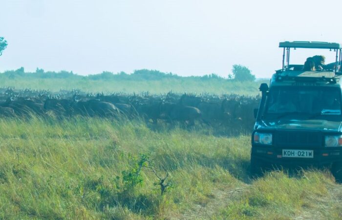 3 Days Masai Mara Kenya Safari