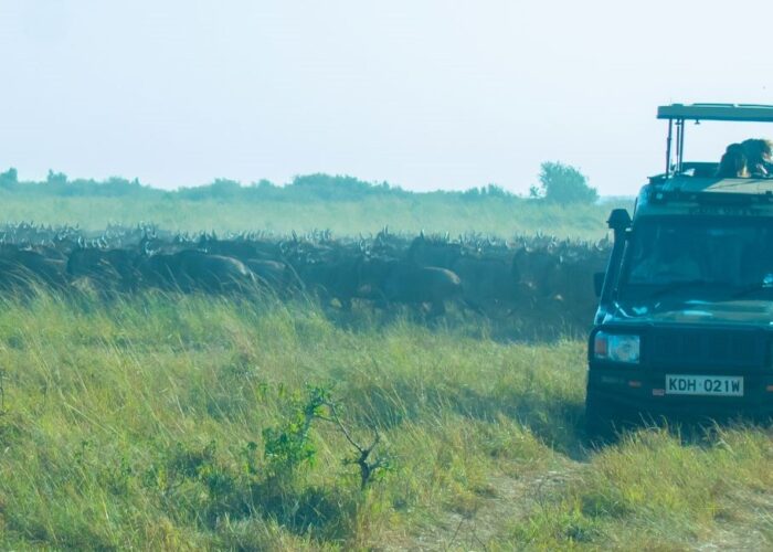 3 Days Masai Mara Kenya Safari