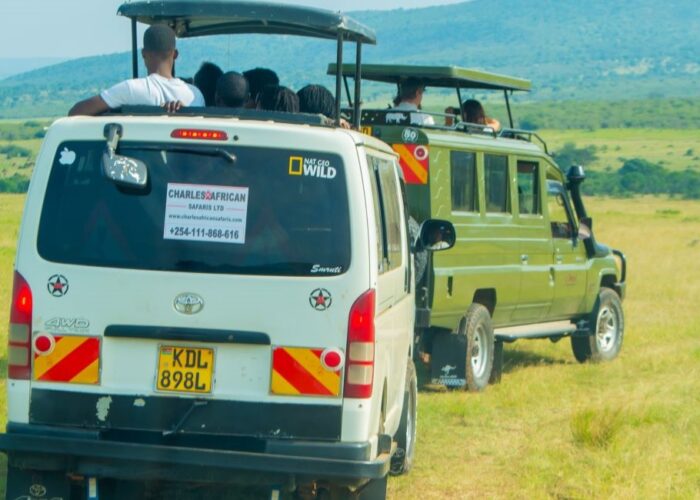 4 Days Express Kenya Safari