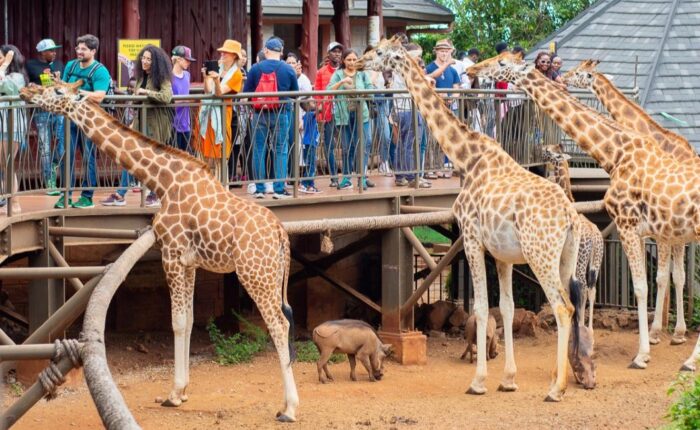 1 Day Nairobi City Tour