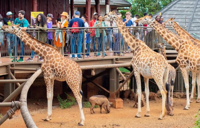 1 Day Nairobi City Tour