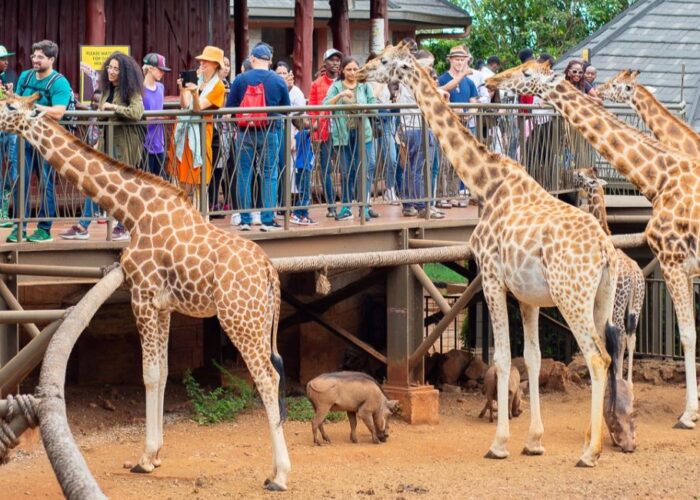 1 Day Nairobi City Tour