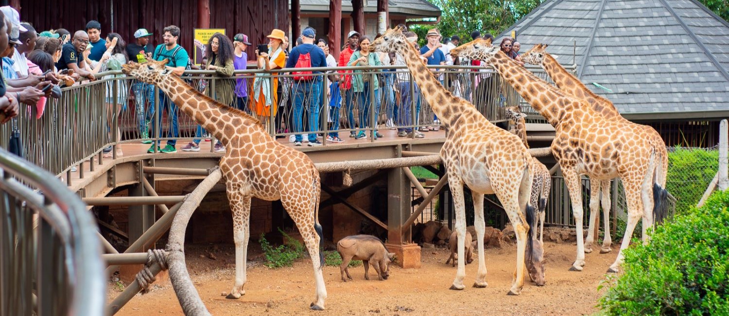 1 Day Nairobi City Tour