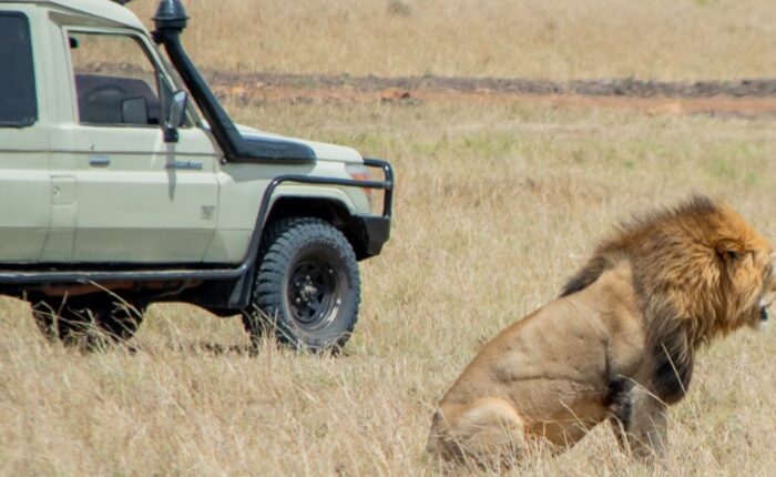 11 Days Spirit of Kenya & Tanzania Safari