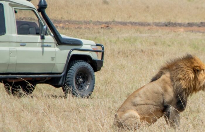 11 Days Spirit of Kenya & Tanzania Safari