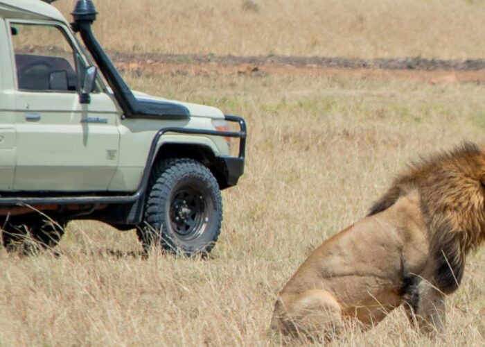 11 Days Spirit of Kenya & Tanzania Safari