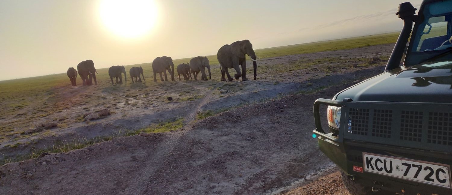 2 Days Amboseli Kenya Safari