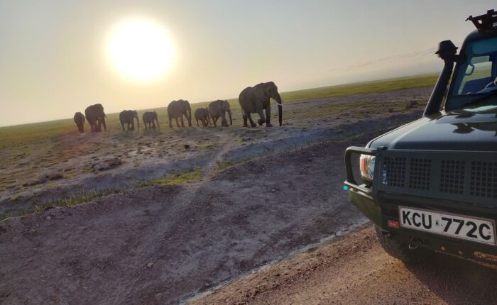 3 Days Amboseli Joining Safari