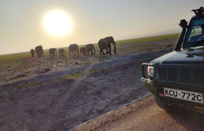3 Days Amboseli Joining Safari