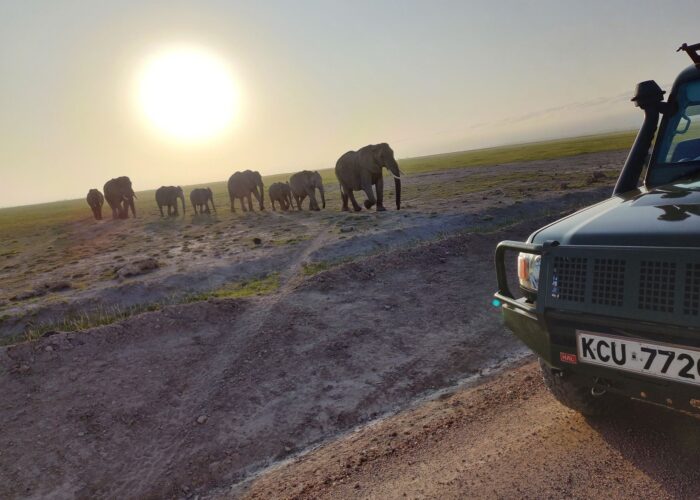 3 Days Amboseli Joining Safari