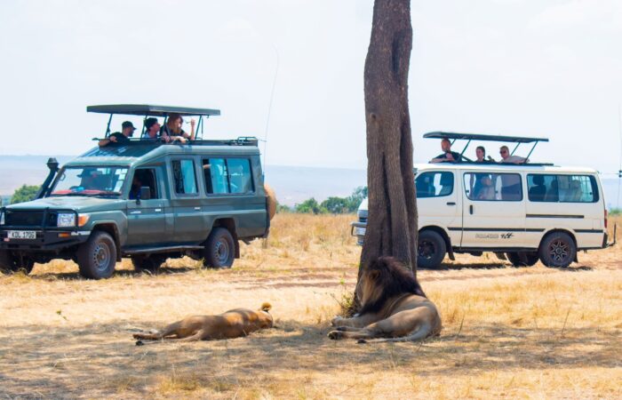 3 Days Masai Mara Joining Safari