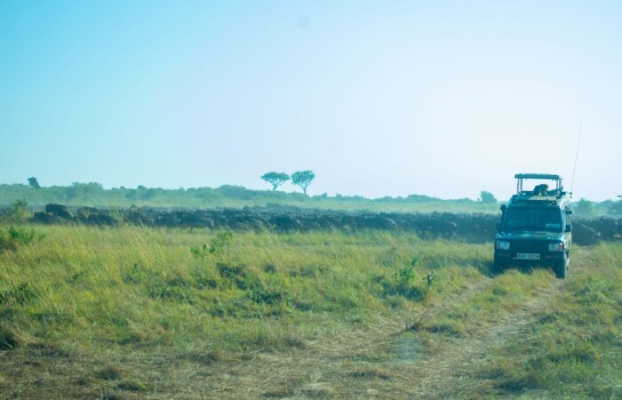 5 Days Taste of Kenya Joining Safari