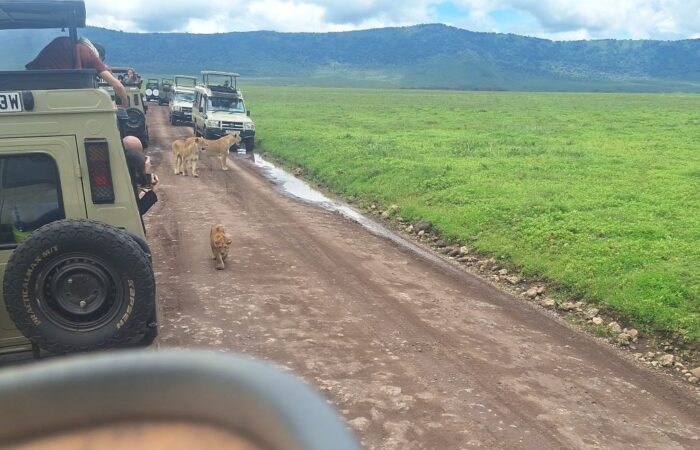 6 Days Express Kenya & Tanzania Safari