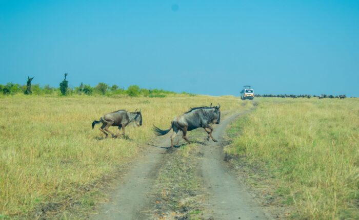 6 Days Kenya Classic Joining Safari