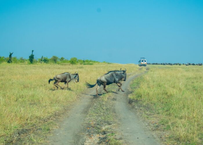 6 Days Kenya Classic Joining Safari