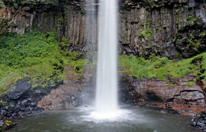 Aberdare National Park