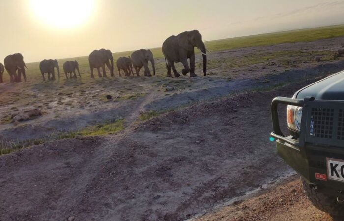 Amboseli National Park
