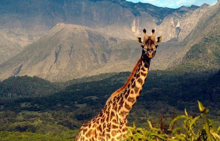 Arusha National Park