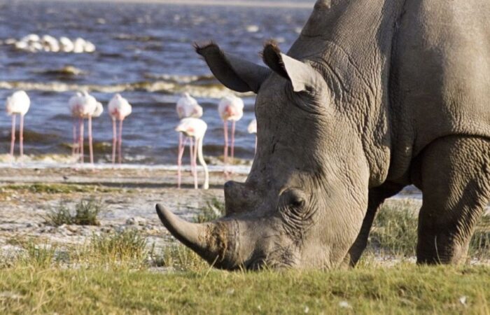 Lake Nakuru National Park