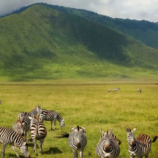 Ngorongoro Conservation Area