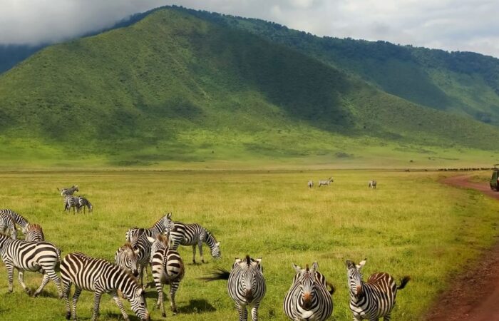 Ngorongoro Conservation Area
