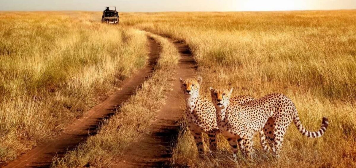Serengeti National Park