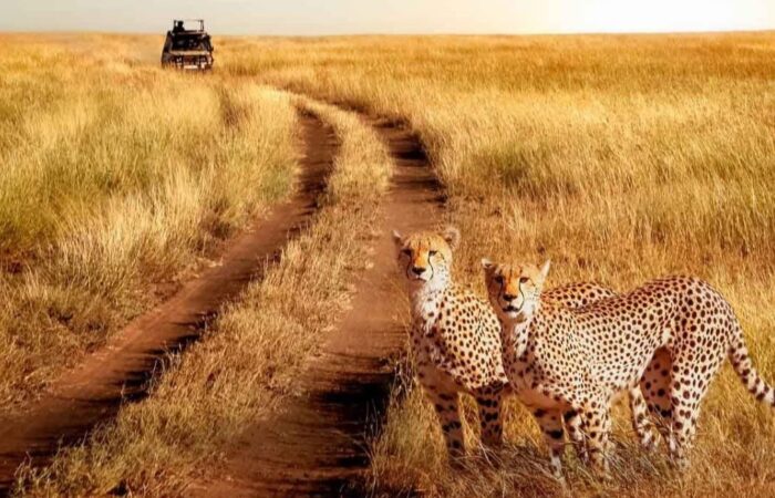 Serengeti National Park