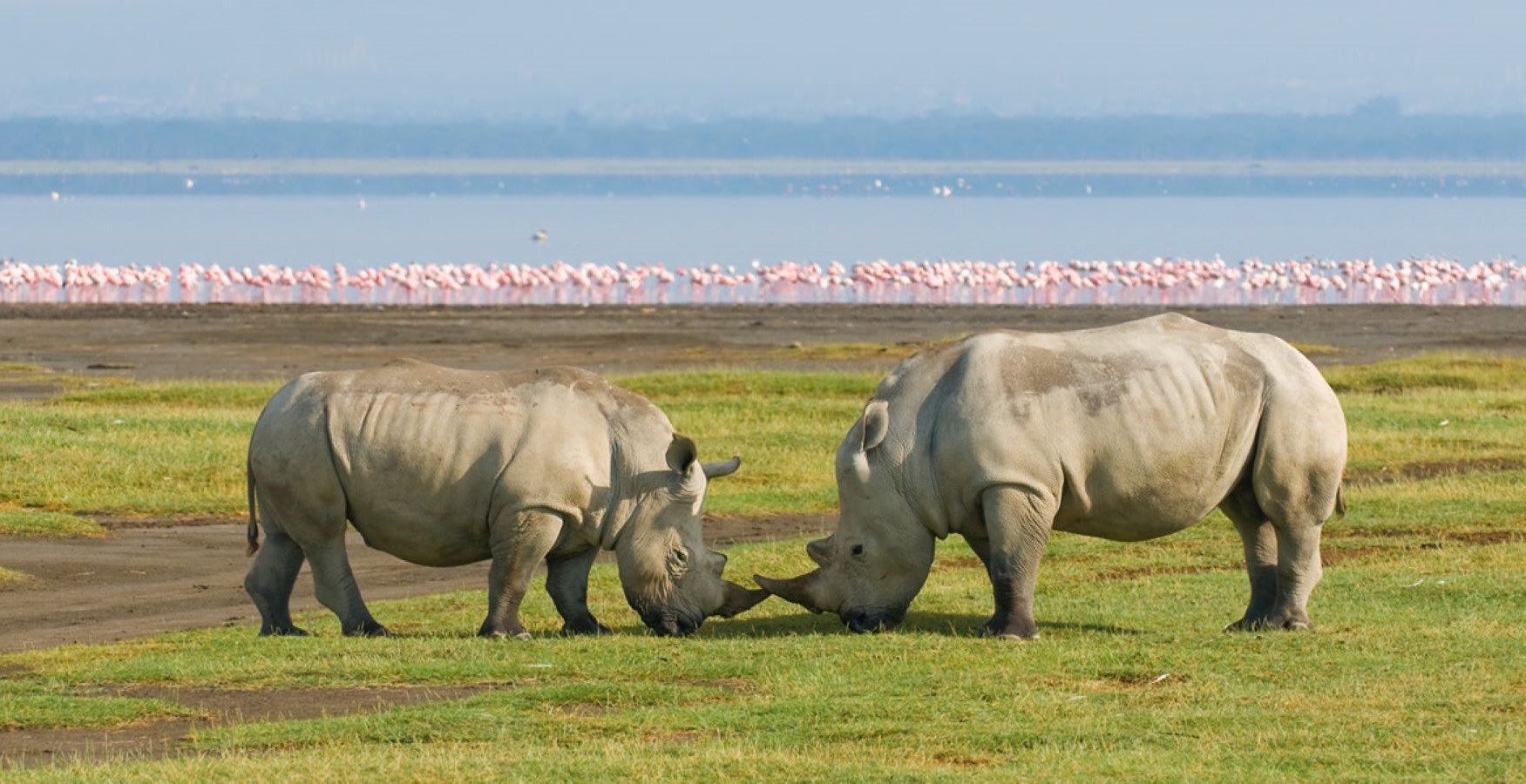 Nakuru, Kenya