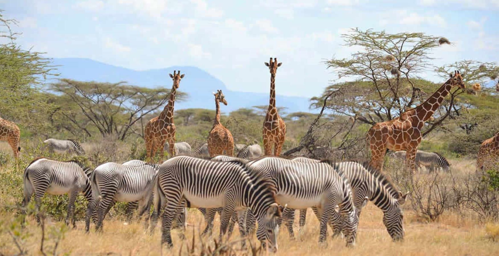 Samburu, Kenya