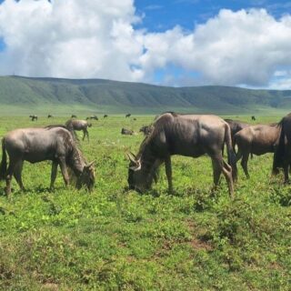 8-Day Spirit of Tanzania Safari