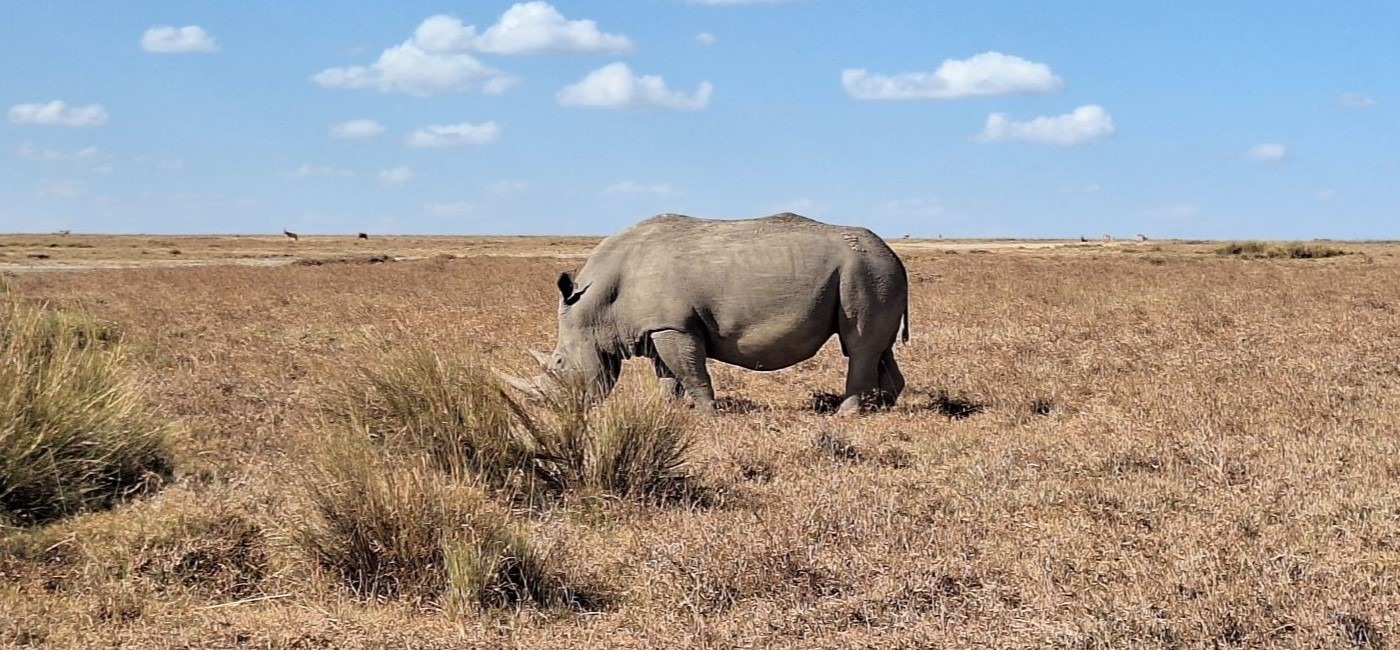 9-Day Jambo Kenya Safari